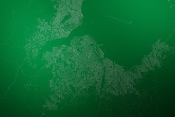 Map of the streets of Kinshasa (Congo) made with white lines on abstract green background lit by two lights. Top view. 3d render, illustration