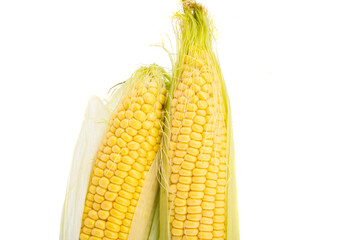 Sticker -  corn isolated