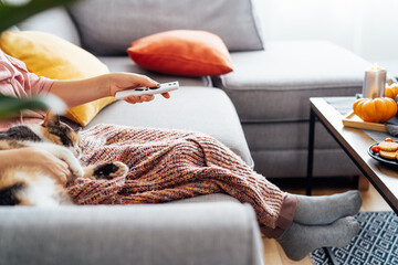 Woman with plaid selecting movie with remote controller and stroking multicolored cat pet on the sofa. Movie night party at home with sweets and hot drinks. Cozy autumn holidays. Selective focus