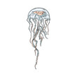 Jellyfish sea underwater dweller engraving vector illustration isolated.