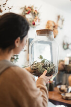Woman Admiring Potted Composition Of Small Green Succulents At Home