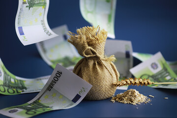 World grain crisis. A handful of cereals and euro banknotes on a blue background.