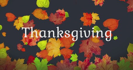 Wall Mural - Happy Thanksgiving. Animated Card with falling autumn leaves, the concept a happy thanksgiving day, discount and sale for this holiday