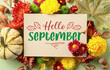 Card with text HELLO SEPTEMBER and beautiful autumn composition on light green background