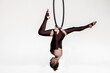 Pretty circus aerialist in brown leotard is spinning upside down on an aerial ring. A young woman performs acrobatic stunts on a white isolated background. Acrobatics, aerial gymnastics.