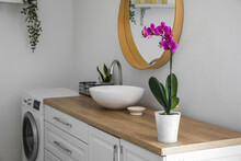 Beautiful Orchid Flower On Counter Near White Wall In Bathroom