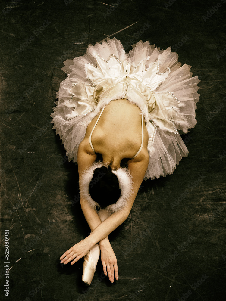 Ballet dancer in swan lake Stock Photo | Adobe Stock