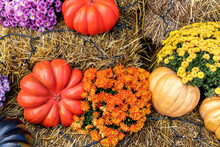 Bright Colorful Festive Composition Seasonal Multicolor Mum Flower Pot Decorated Pumpkins Vegetables On Yellow Harvest Hay Bale Porch Home Yard Garden. Halloween Holidays Autumn Decoration Background
