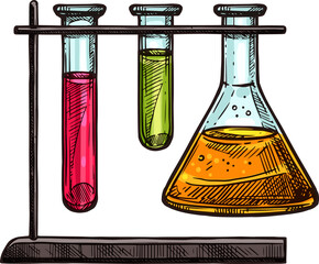 test tubes on chemical holder vector