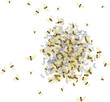© Vector Tradition - Honeybee or bees swarm in apiary hive
