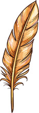 Vintage Feather Or Quill Pen Sketch Icon