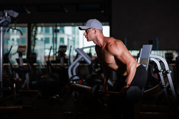 Wall Mural - muscular man working out with dumbbells in gym dark tone,