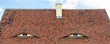 Old beautiful european german fachwerk building rooftop with eye shaped windows and chimney. Typical traditional ancoent house roof architecture in Europe. Funny face-shaped pareidolia facade