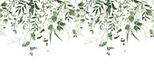 Watercolor Painted Greenery Seamless Frame On White Background. Green Wild Plants, Branches, Leaves And Twigs.