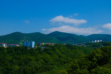 Poster - residential buildings in the forested mountains