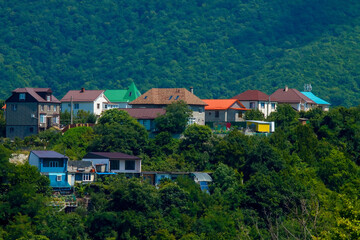 Poster - residential buildings in the forested mountains