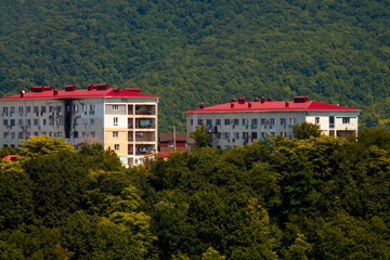 Poster - residential buildings in the forested mountains