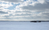 Fototapeta Morze - Winter landscape, blue skies and sparkling snow