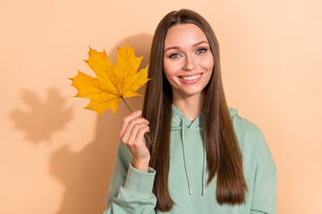 Poster - Portrait of attractive cheerful cute brown-haired girl holding in hand dry leaf isolated over beige pastel color background