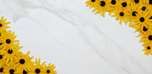 Marble Background With Yellow Flower (Rudbeckia Hirta - Black Eyed Susan) Border Frame
