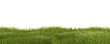 Leinwandbild Motiv green grass meadow outdoor 3d-illustration
