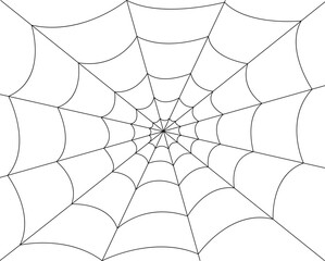 spider web on white background