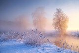 Fototapeta Kawa jest smaczna - Frosty winter morning