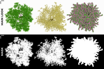 3D Rendering of Garden Plants (Residential or Commercial Space) with alpha mask to cutout and PNG editing. Vegetation for Nature Compositing