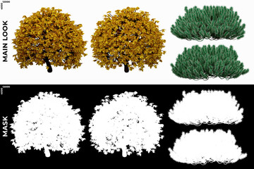 Wall Mural - 3D Rendering of Garden Plants (Residential or Commercial Space) with alpha mask to cutout and PNG editing. Vegetation for Nature Compositing