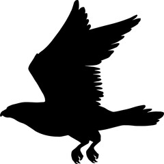 Wall Mural - Bird silhouette in flight isolated eagle or falcon