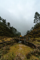 woman on hike through cloudy landscape and rock mountains with a lot of fog and cold