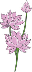 Wall Mural - classic style lotus flower vector design, color editable