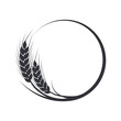 Wheat, oat, rye or barley circle silhouette. Cereal plant border, agricultural frame with black spikelets. Banner for design beer, bread, flour packaging.