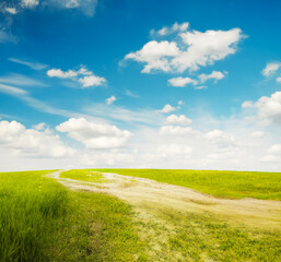 Wall Mural - beautiful summer fields