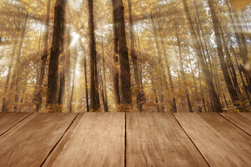 Poster - Wooden table with a view of trees