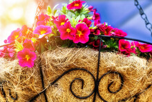 Red Flowers In Decorative Straw Pot Hang On Chain In Street. Colorful Background. Landscaping And Landscaping Of Territory.