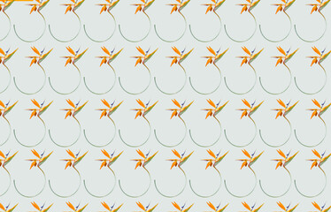 Wall Mural - Fond motifs oiseaux du paradis 