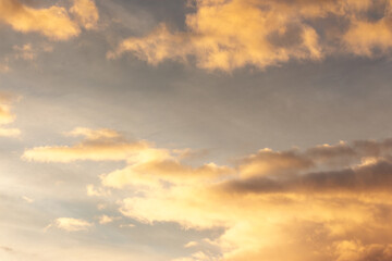 Wall Mural - clouds on the sky in golden hour light. warm weather in summer at sunset
