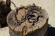 Metal medieval ancient handcuffs on a tree cut, on a stump. Punishment. Chain for dying. Old shackles on a stump. Old shackle with chain made of steel lying on old round stump standing on the ground. 