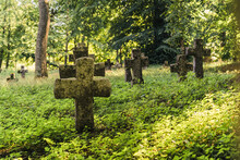 Cross-shaped Headstones Covered In Moss At 1800s Abandoned Greveyard. Lush Forest In Sunlight. Outdoor Horizontal Shot . High Quality Photo