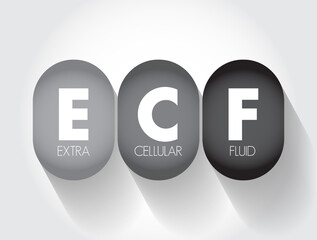 ECF Extracellular fluid - body fluid that is not contained in cells, acronym text concept background