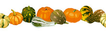 Pumpkins And Squash On A White Background. Ornament Row Of Squash For Autumn Decor. Vector Image. 