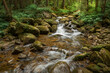 beautiful landscape with a small waterfall in a forest with stone terrain