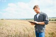 © Serhii - Young farmer in wheat field during harvest in summer