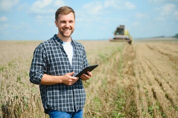 Wall Mural - Farmer Standing In Wheat Field At Harvest