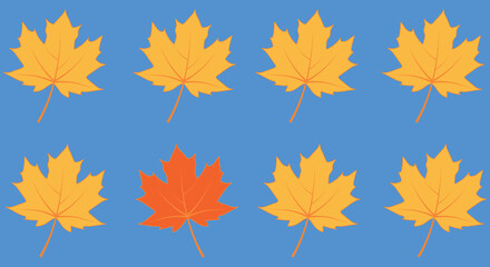 autumn maple leaves vector, one leaf is different from the others - abstract vision be different, un