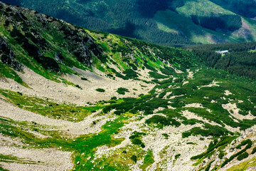 A view of the beautiful surrounding alpine nature from the Chopok ridge in the Low Tatras, Slovakia