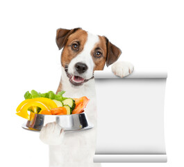 Poster - jack russell terrier puppy holds bowl of vegetables and empty list. isolated on white background