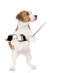 Poster - Hungry jack russell terrier puppy holds empty bowl and points away on empty space. isolated on white background