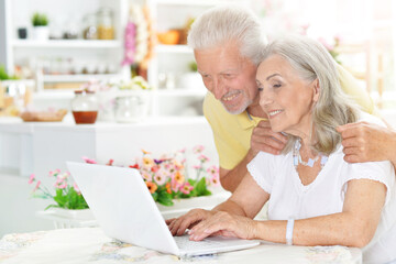 Sticker - confused senior couple with laptop at home